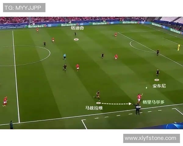 北京排球队战术解析与大满贯赛事表现的深度点评